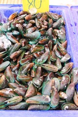 Fresh mussel for cooking in the market