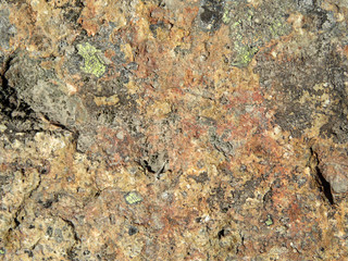 Old color stone texture. Lichen on weathered rock surface