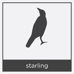 starling icon isolated on white background