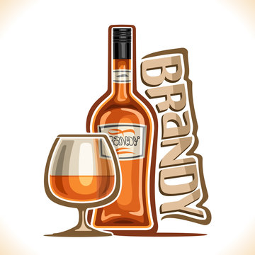 Vector illustration of alcohol drink Brandy, poster with brown bottle of premium fruit calvados and half full snifter glass, original typeface for word brandy, design contour composition for bar menu.