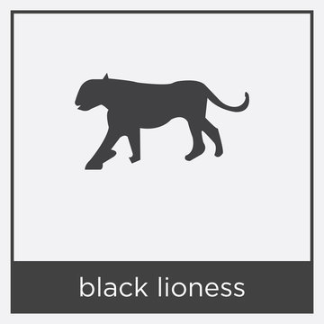 black lioness icon isolated on white background