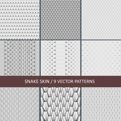 set of vector snake skin textures