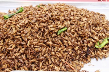 fried insects is delicious in the market