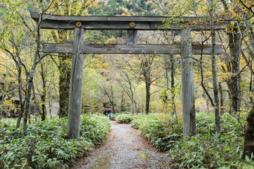 Mysterious shrine gate at highland Japan on autumn