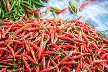 Fototapeta premium Fresh chilli for cooking at street food