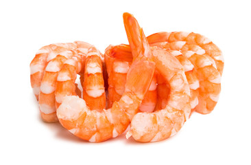 boiled shrimp isolated