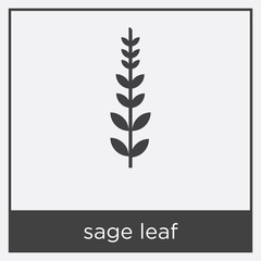 sage leaf icon isolated on white background