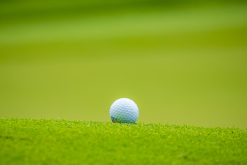 The golf ball put on green grass of golf course