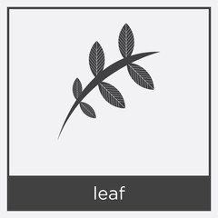 leaf icon isolated on white background