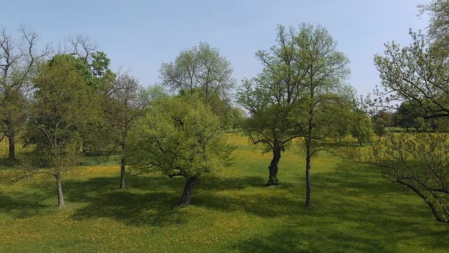 Stuttgart Stadtpark gro&szlig;e Wiese B&auml;ume Stadtpanorama