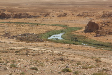 A small wadi in Negev desert, Israel © Jacob