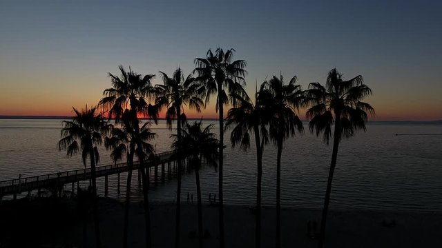 Palm trees at sunset in mexico.