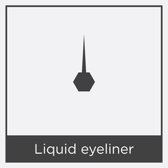 Liquid eyeliner icon isolated on white background