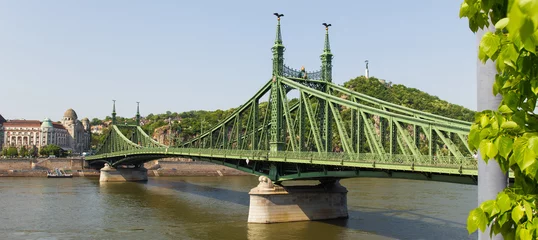  freedom bridge over the danub in budapest hungary © Tobias Arhelger