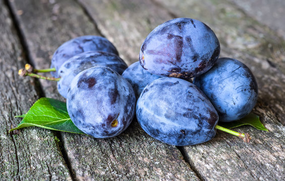 Fresh plums on wooden table background. Half of blue plum fruit. Many beautiful plums with leaves.Harvest. Autumn harvest.