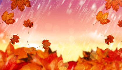 Naklejka na ściany i meble Autumn leaves against magical sky