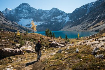Fototapeta na wymiar Hiking at Lake O'Hara in autumn, Yoho National Park, Canadian Rockies