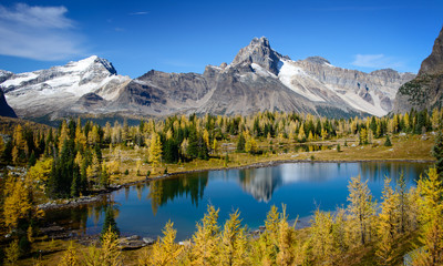 Lake O'Hara, Yoho National Park, Canadian Rockies