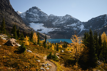 Lake O'Hara in autumn, Yoho National Park, Canadian Rockies