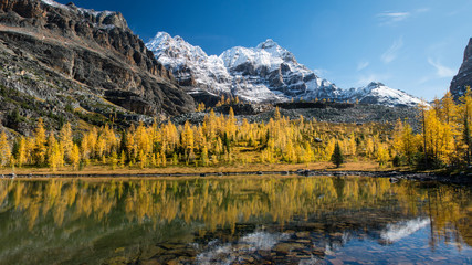 Naklejka premium Lake O'Hara reflection, Yoho National Park, Canadian Rockies