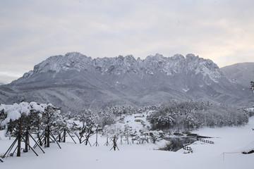 아름다운 한국의 겨울 산