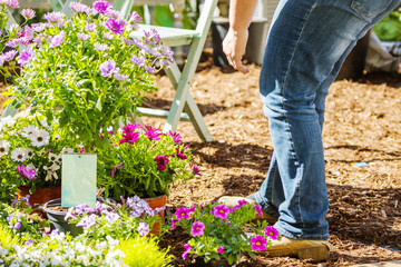 Gartenarbeit und blumen Verkauf