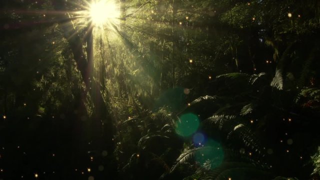 Sunbeams shine into a magical forest.