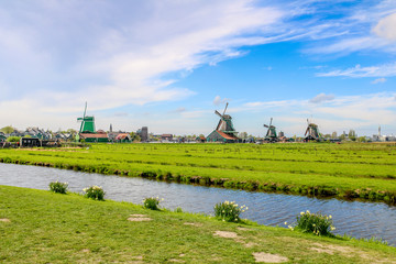 Windmühlen in Zaanse Schans in den Niederlanden in Europa