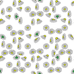 Daisy hand drawn pattern on white background . Vector illustration. - 202614195
