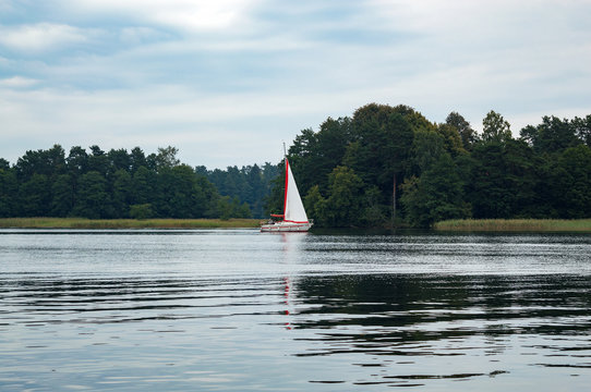 Evening landscape with sailing boast on lake Galve with pine forest on the horizon in Trakai, Lithuania