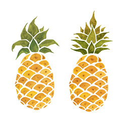 Pineapple. Isolated on white background. Watercolor Hand Drawn illustration.