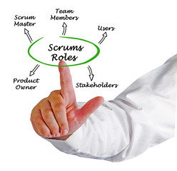 Five Scrums Roles