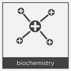 biochemistry icon isolated on white background