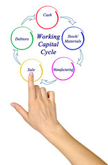Working Capital Cycle