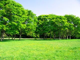 新緑の公園風駅