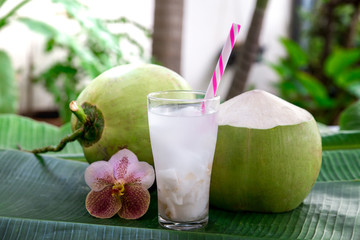 Coconut juice,Drink coconut water