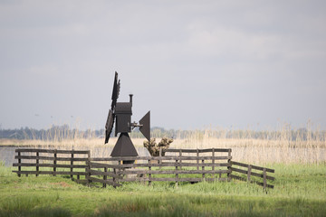 old dutch windmill in a meadow