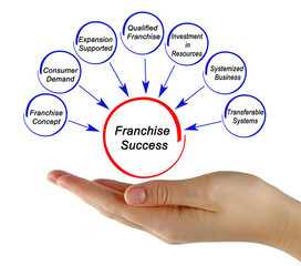 Causes of  Franchise Success