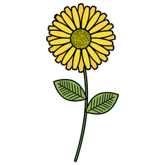 Obraz premium flowers and leafs decorative icon vector illustration design