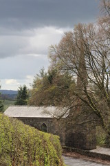 My morning adventure