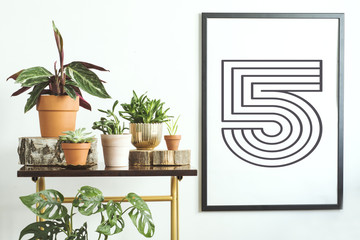 Modern composition of home garden with different plants in red clay pots on the brown shelf....