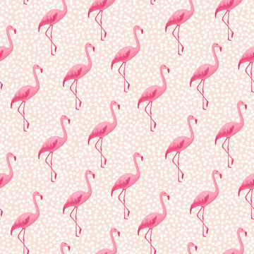 Tropical seamless pattern with pink flamingos and small polka dots. Vector summer background. Trendy exotic wallpapers. Fashionable design for girls, babies. Repeat texture for decor, prints, clothing © Olgastocker