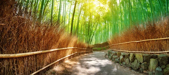Foto auf Leinwand Pfad im Bambuswald in Kyoto, Japan. Wälder im Bezirk Arashiyama © candy1812