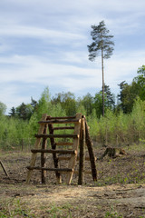 Fence made of wire and rustic ladder made of wooden logs. Forest edge and entrance into wood. Enclosure of natural territory, area and zone. Green coniferous trees in the background