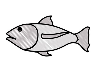 Fototapeta premium fish food isolated icon vector illustration design