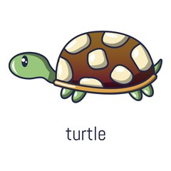 Turtle icon. Cartoon illustration of turtle vector icon for web