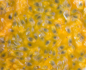 Background of Tropical Passion Fruit