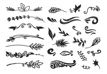 Hand drawn black floral elements on the white background. Floral decorative collection using for decoration of text, cards, invitation. Sketch of leaves and flowers.