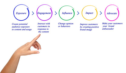 Diagram of Marketing
