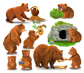 Cartoon bears doing different activities and eating their favorite food like honey, berries and fish isolated on a white background